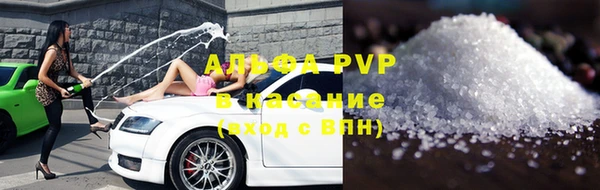 гашик Осташков