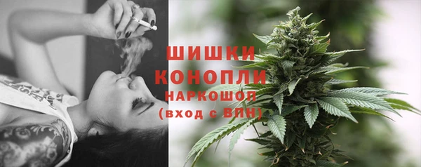 PSILOCYBIN Остров