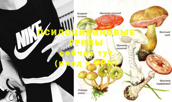 гашик Осташков