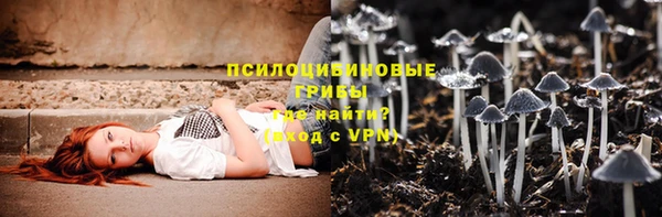 гашик Осташков