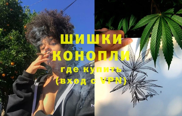 гашик Осташков