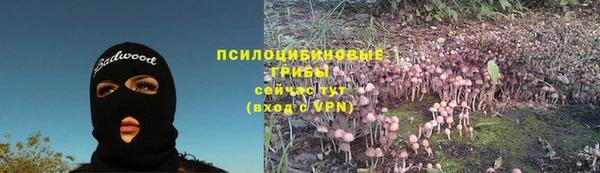 гашик Осташков