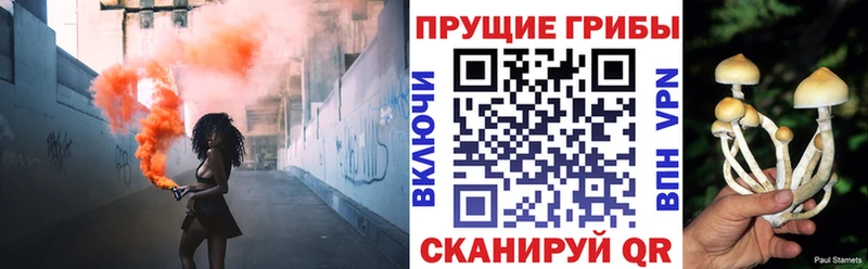 Псилоцибиновые грибы мухоморы  хочу   Балей 